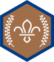 chief-scouts-bronze-award-beavers-rgb-png