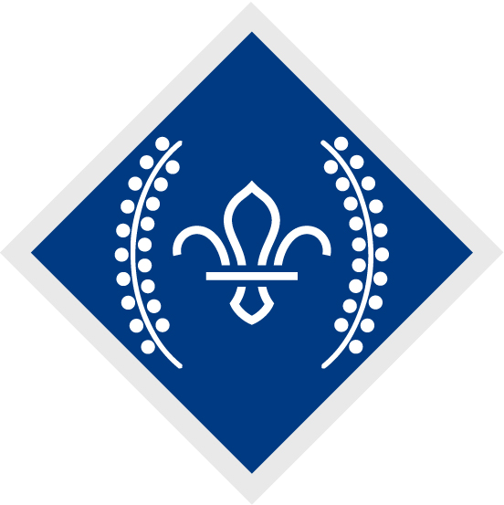 chief-scouts-diamond-award-rgb-png