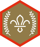 chief-scouts-gold-award-scouts-rgb-png