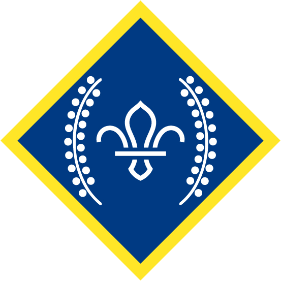 chief-scouts-platinum-award-rgb-png