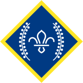 chief-scouts-platinum-award-rgb-png