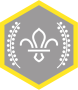 chief-scouts-silver-award-cubs-rgb-png