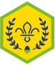 chief-scouts-acorn-award-squirrels-rgb-png