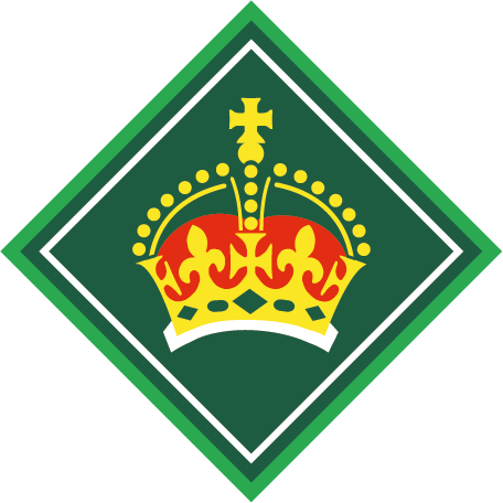 kings-scout-award-graphic